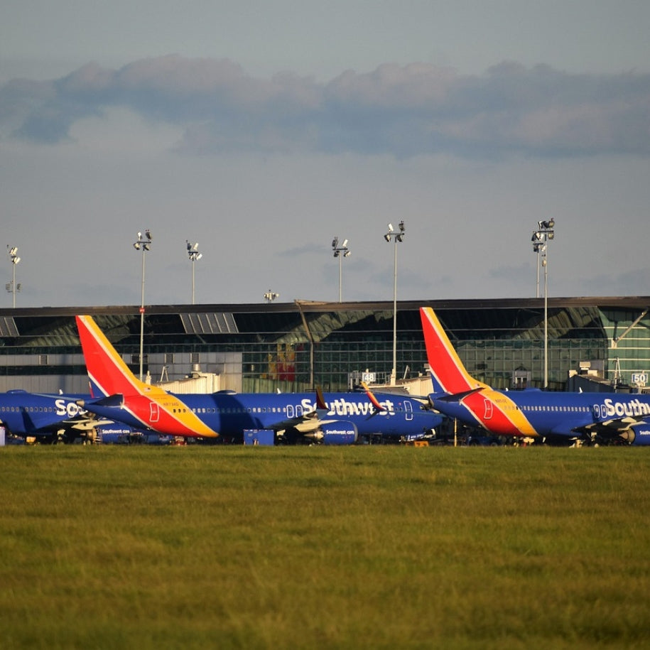 How to travel with pet in flight:Southwest airline pet policy