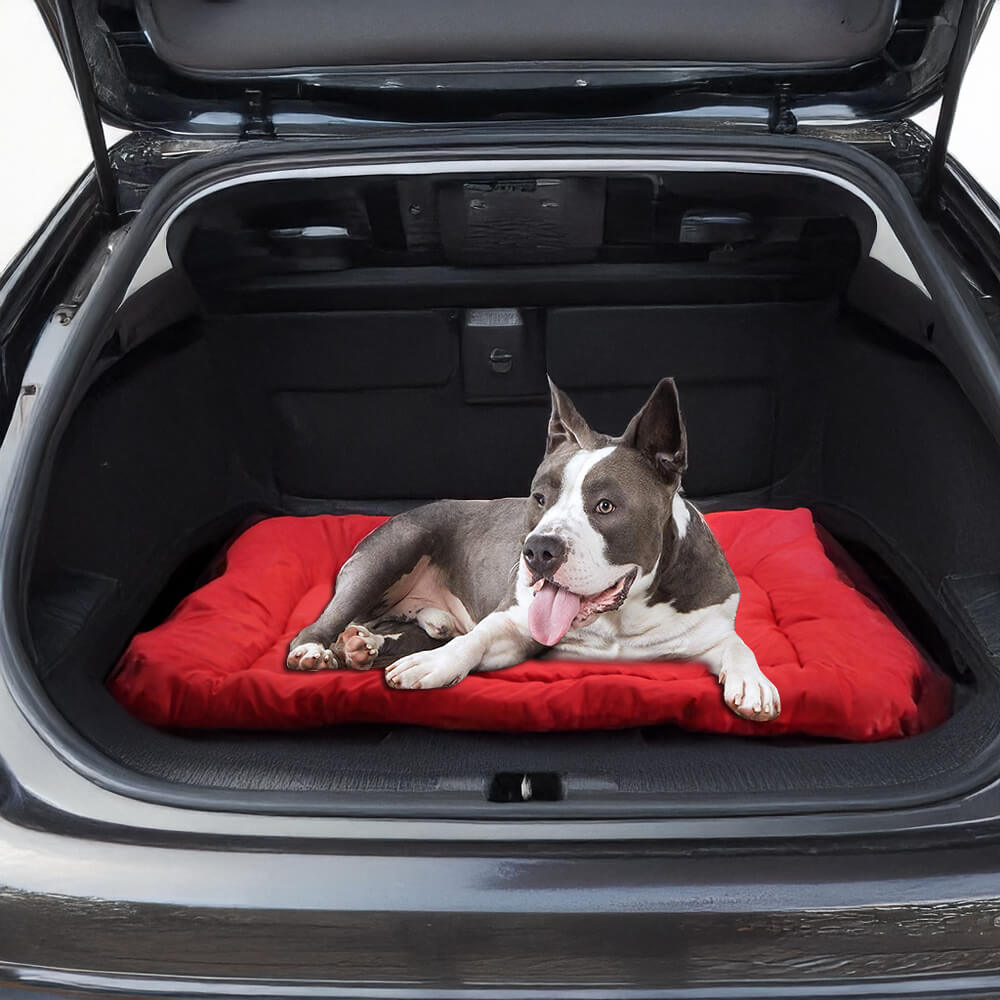 Alfombra de viaje de perros al aire libre durable para perros al aire libre resistente al agua