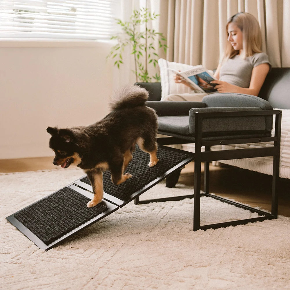 Cama de sofá mascota elevada con rampa para escaleras para salón de noche o percha de ventana de perros