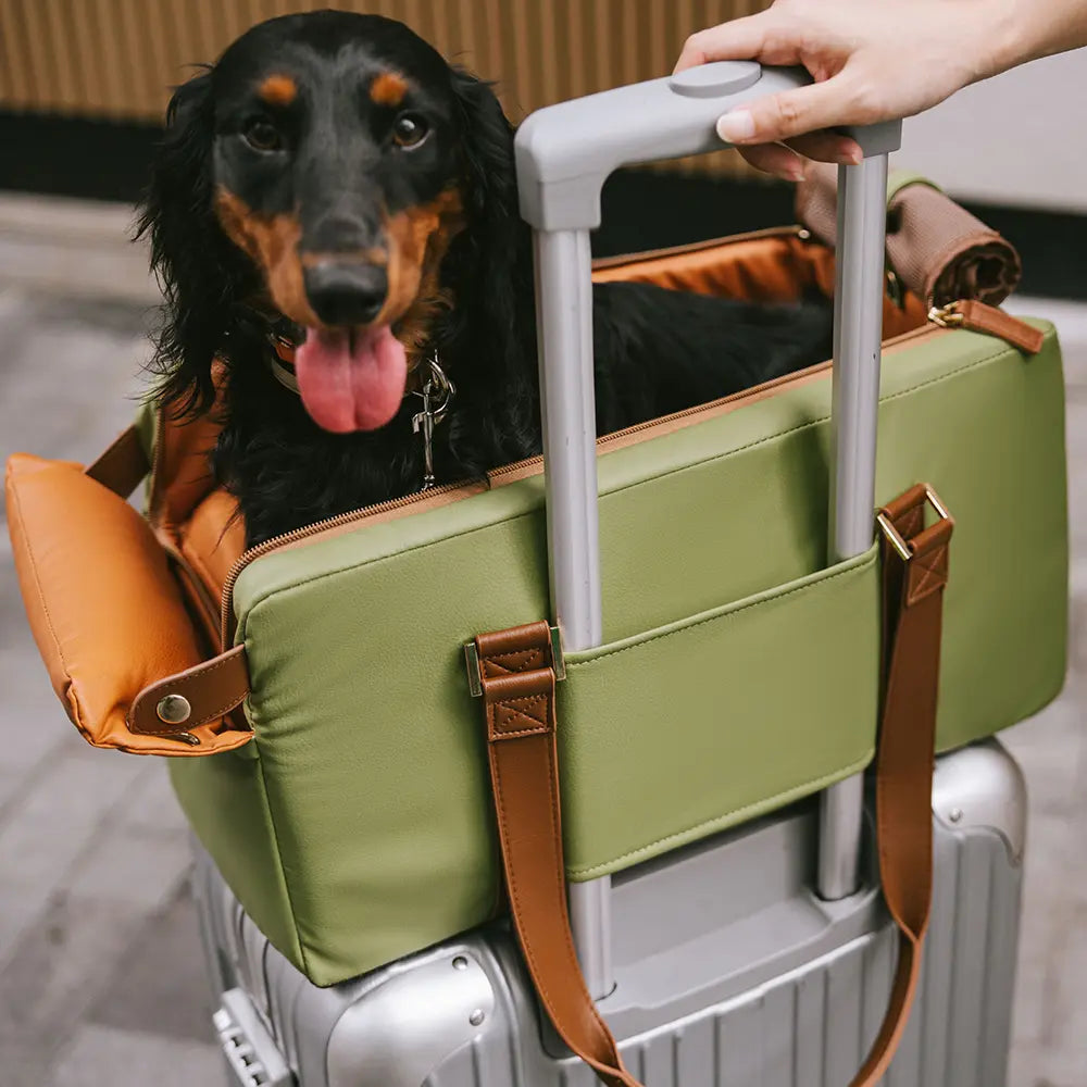Deluxe Faux Leather Safety Center Console Pet Car Seat and Carrier - Urban Voyager