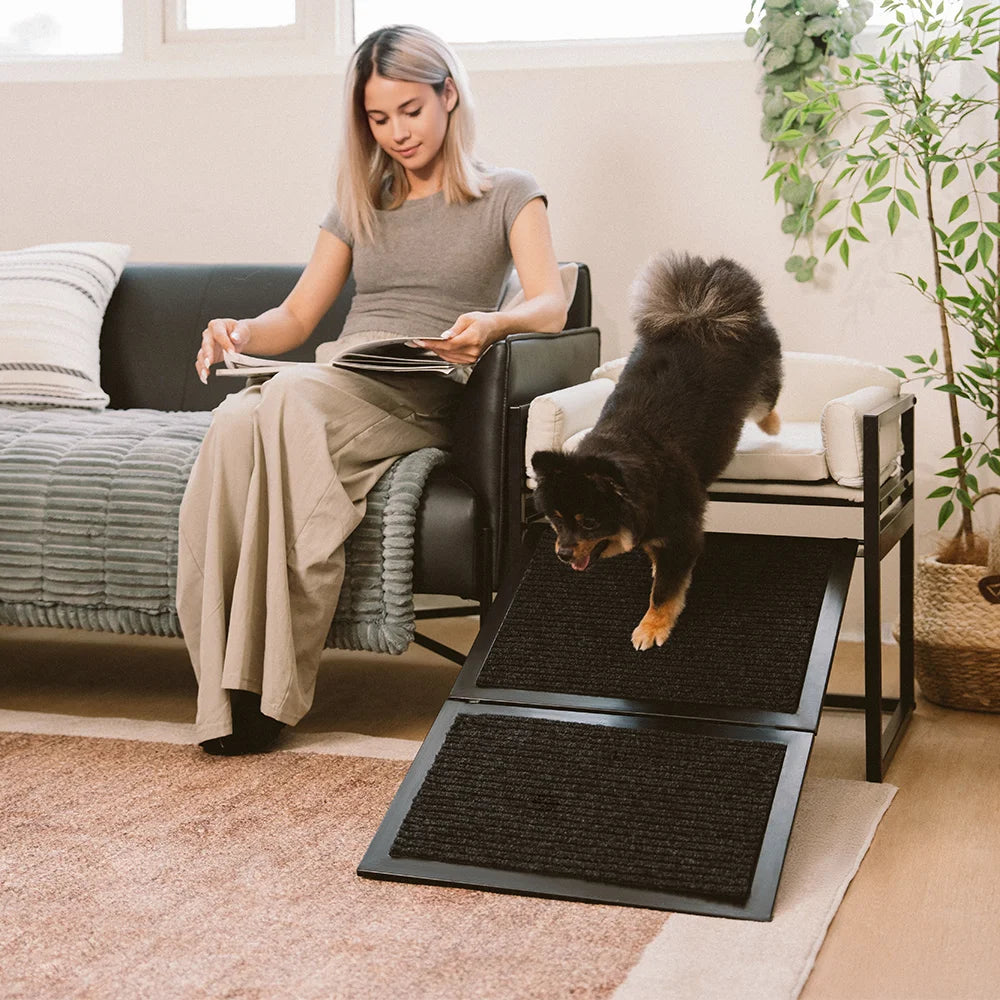 Elevated Pet Sofa Bed with Stairs Ramp for Bedside Lounge or Dog Window Perch