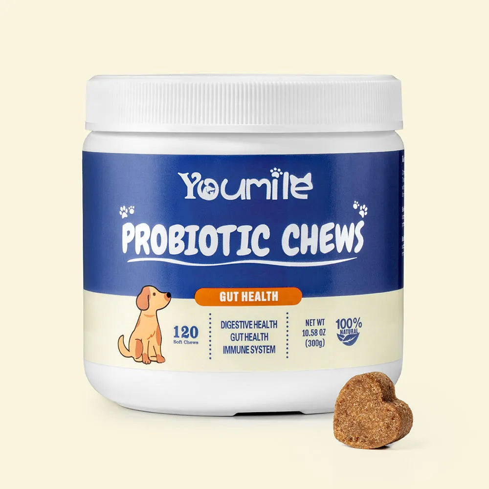 Masticables blandos probióticos para perros (120 unidades) | Salud digestiva & Refuerzo inmunológico