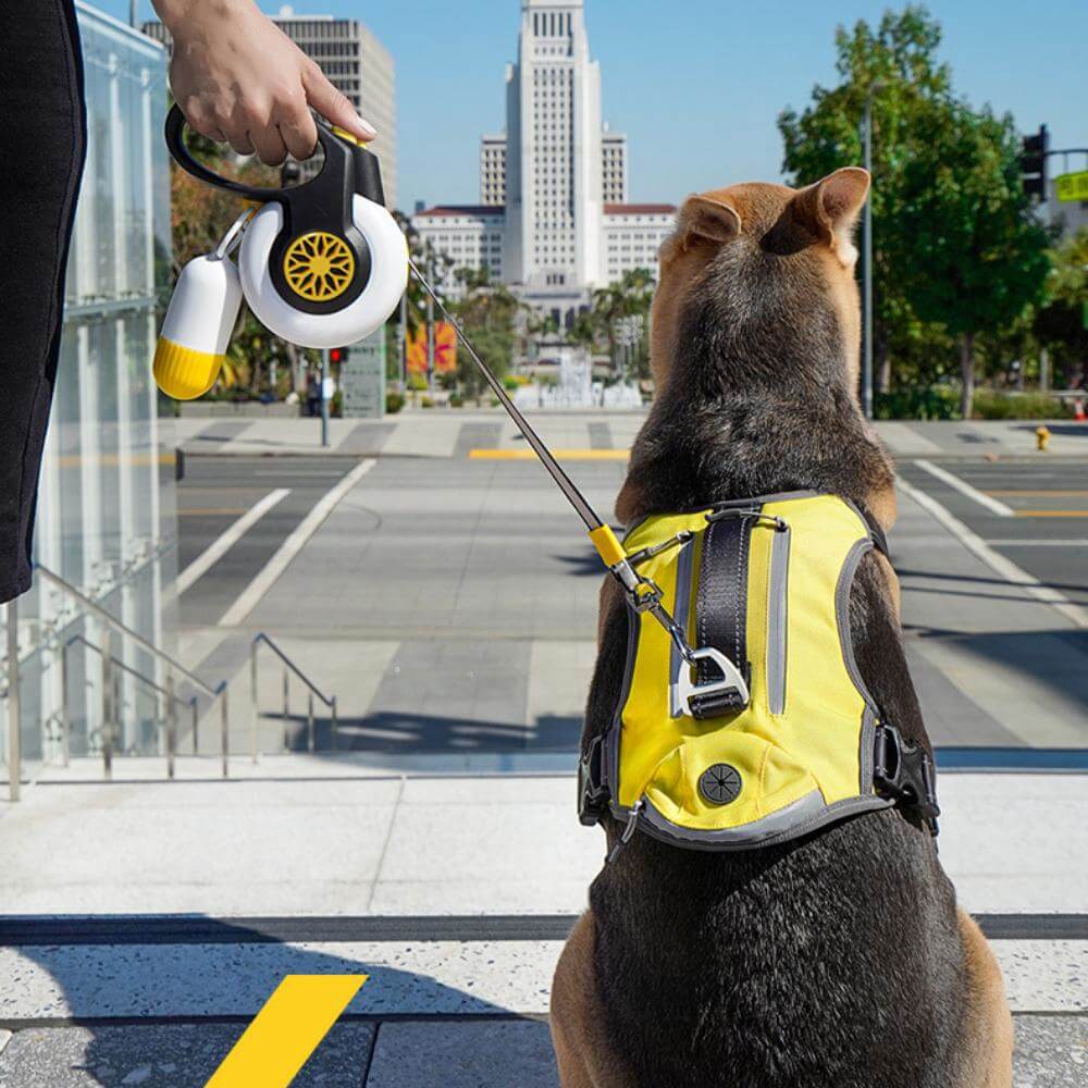 Correa de perros retráctil a prueba de explosión automática para perros medianos a grandes