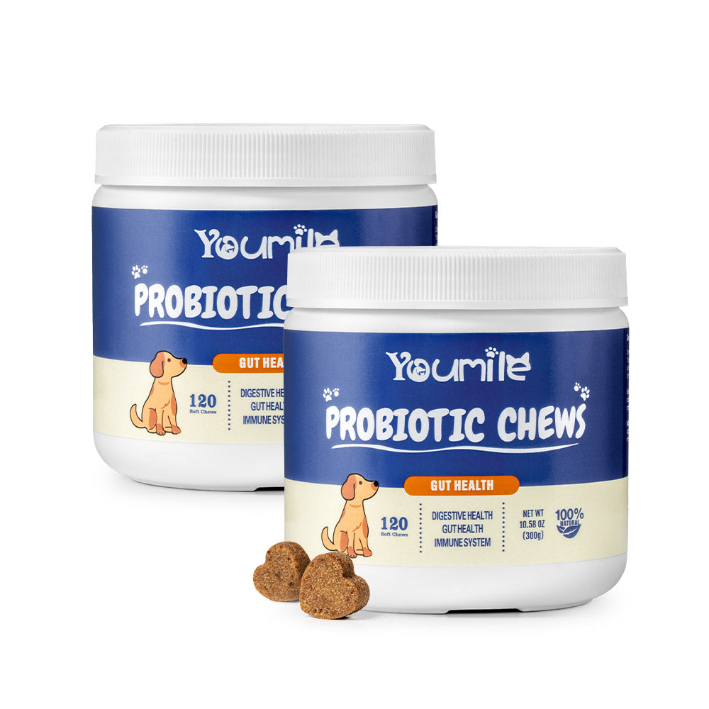 Masticables blandos probióticos para perros (120 unidades) | Salud digestiva & Refuerzo inmunológico