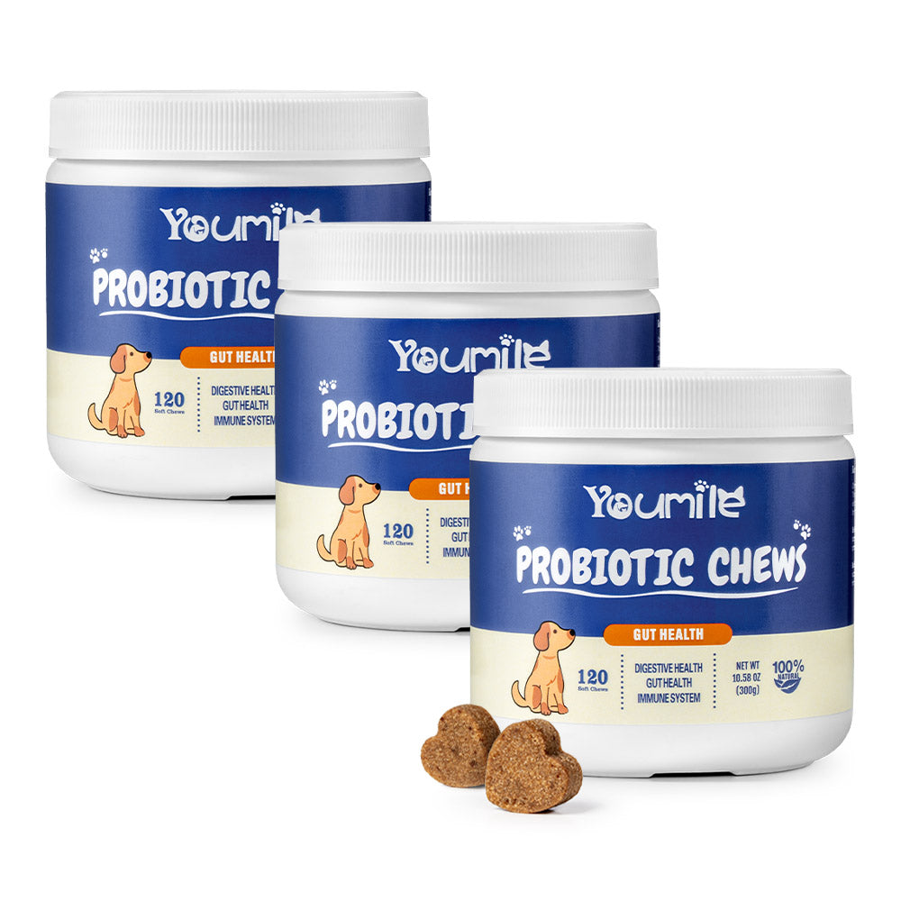 Masticables blandos probióticos para perros (120 unidades) | Salud digestiva & Refuerzo inmunológico
