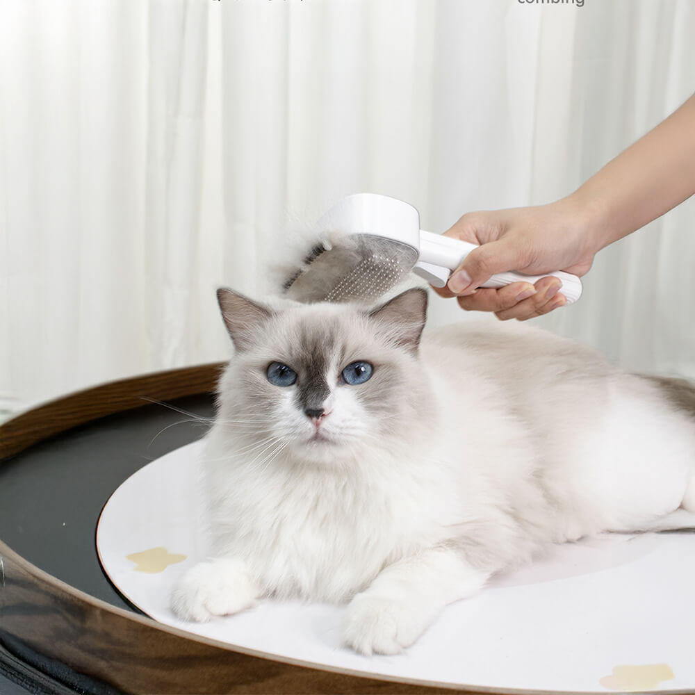 2 In 1 Self-Cleaning Dual-Head Shedding and Dematting Tool Pet Grooming Brush