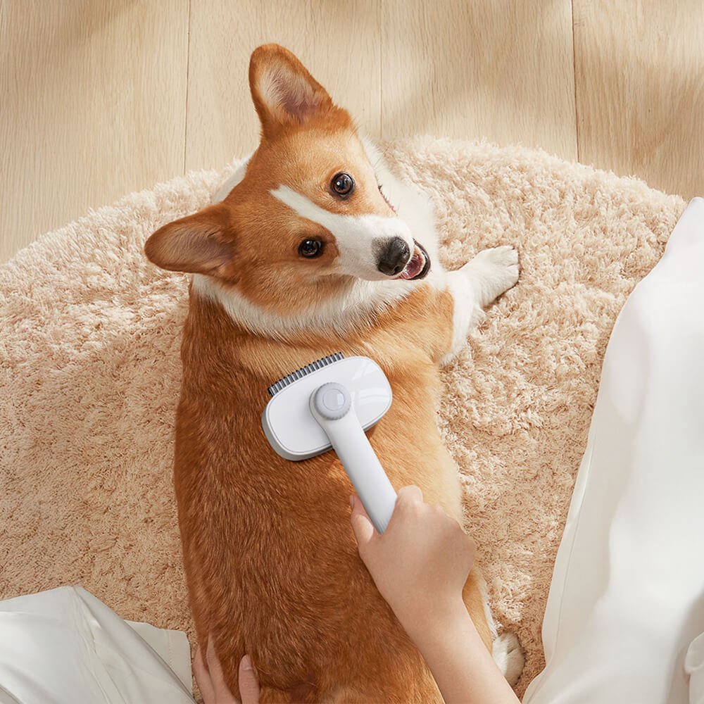 2 In 1 Self-Cleaning Dual-Head Shedding and Dematting Tool Pet Grooming Brush