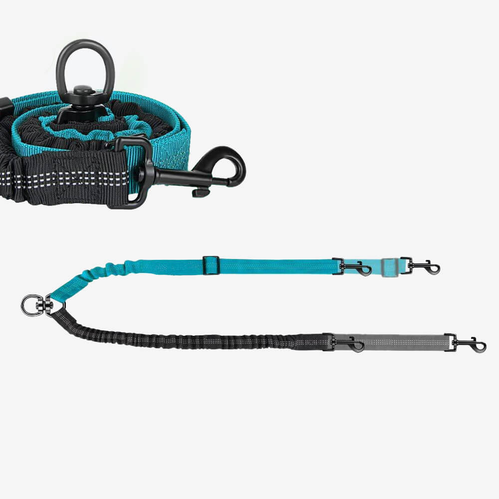 No-Tangle Shock Absorbing Double Lead Dog Leash