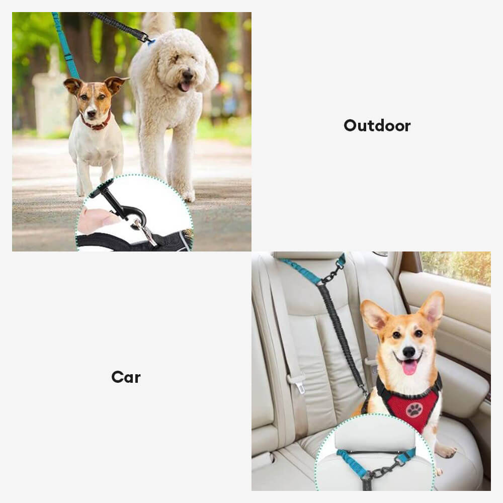 No-Tangle Shock Absorbing Double Lead Dog Leash