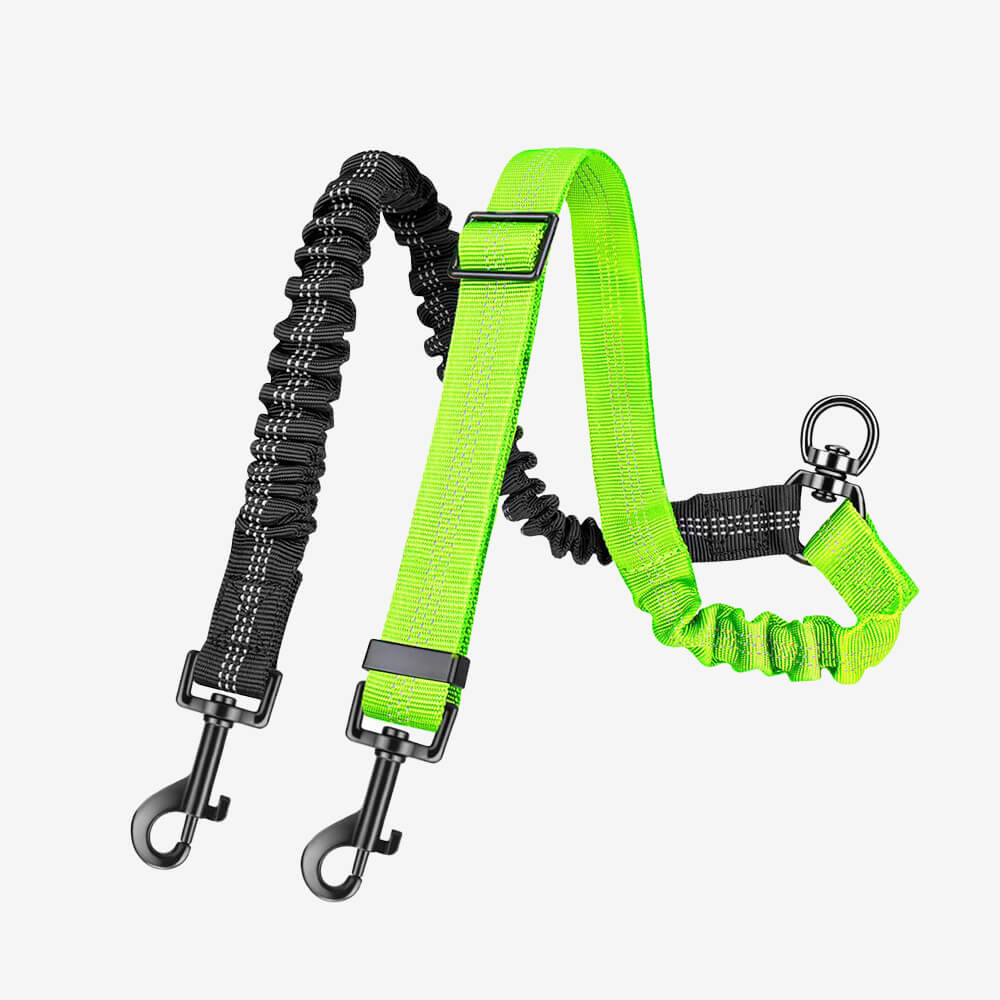 No-Tangle Shock Absorbing Double Lead Dog Leash