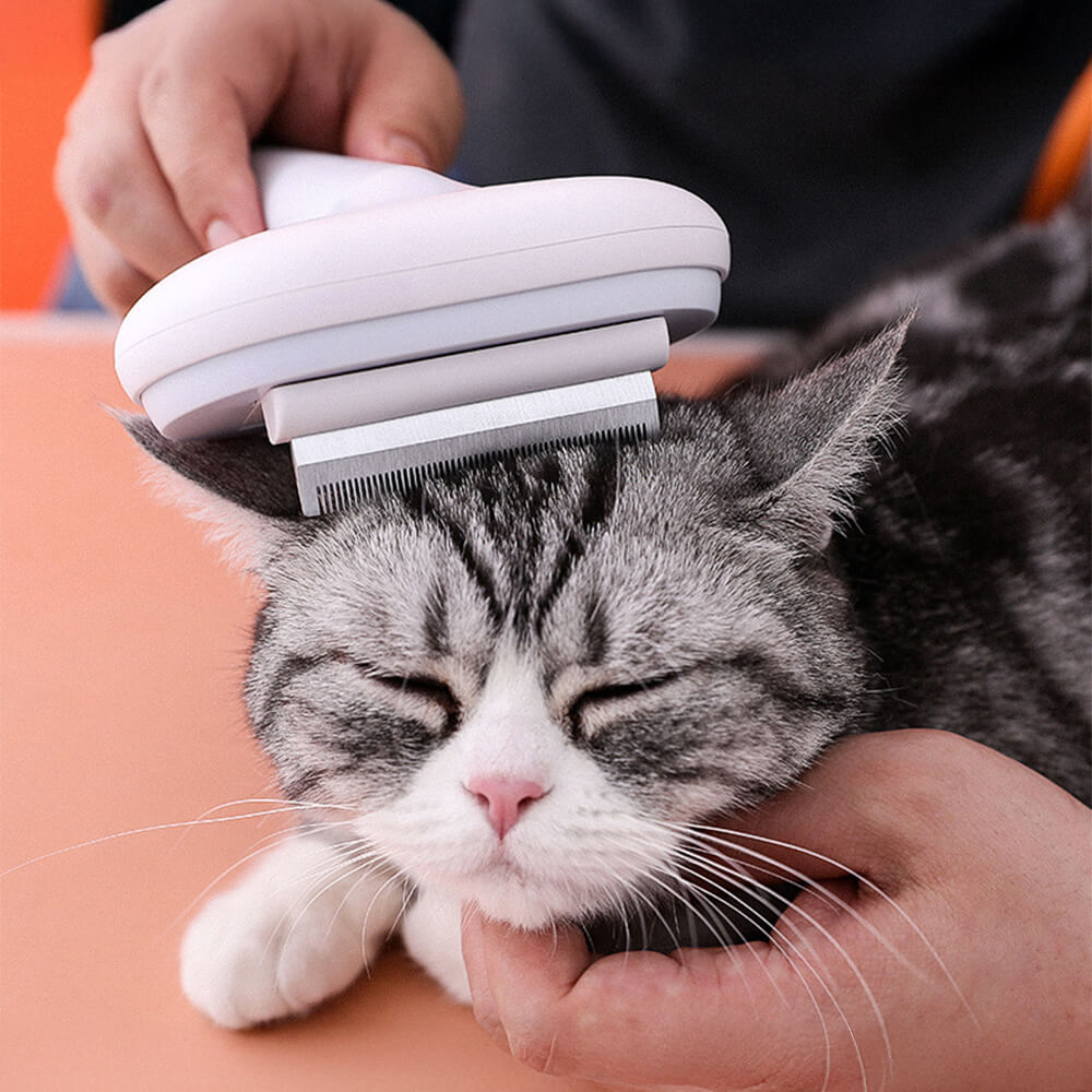 5 IN 1 Dogs & Cats Self-Cleaning Brush Pet Grooming Kit