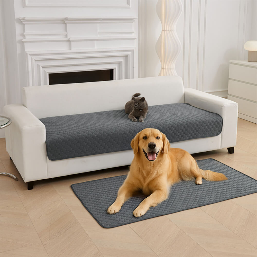 Multi-Purpose Absorbent Leakproof Washable Pet Mat for Sofa and Bed