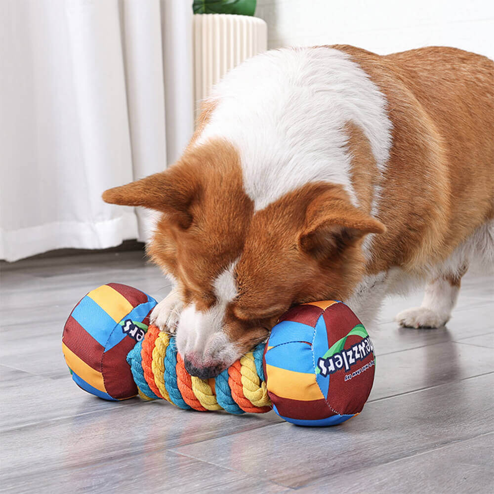 Jouet interactif pour chien avec haltère arc-en-ciel et corde durable et grinçante