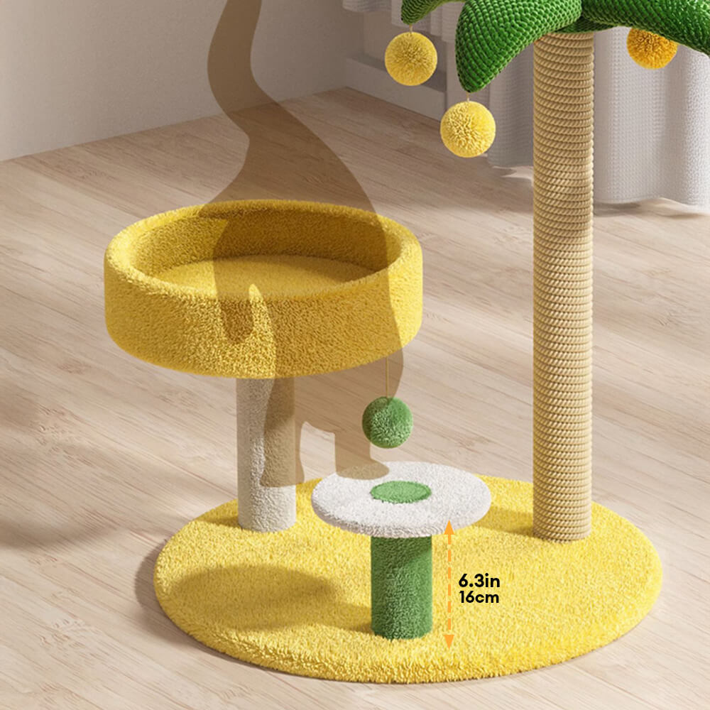 Marco de trepaprender de gato de árbol de coco tropical