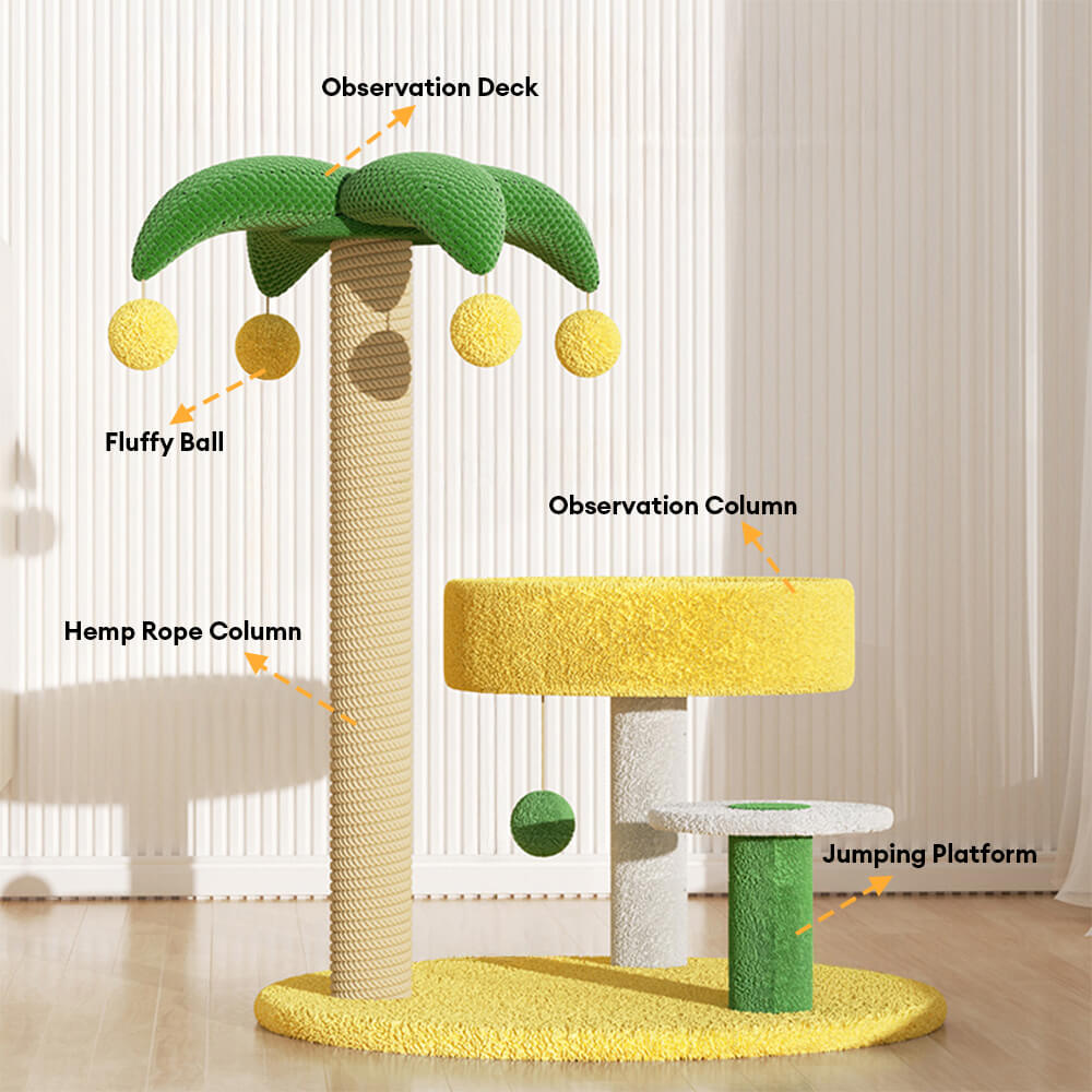 Marco de trepaprender de gato de árbol de coco tropical