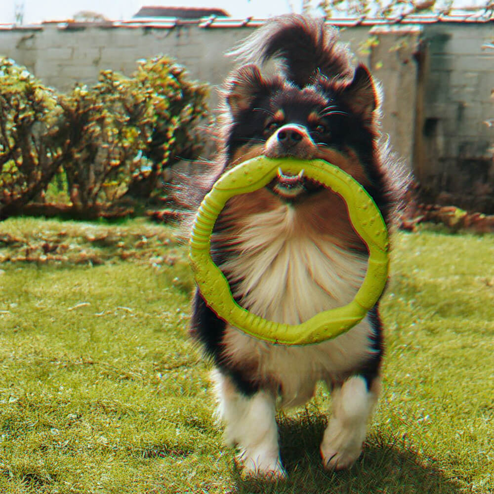 War Ring Langlebiges, wasserdichtes, leichtes, flexibles, interaktives Hundespielzeug