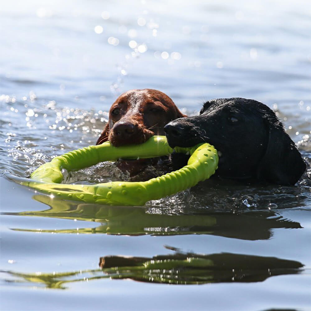 War Ring Langlebiges, wasserdichtes, leichtes, flexibles, interaktives Hundespielzeug