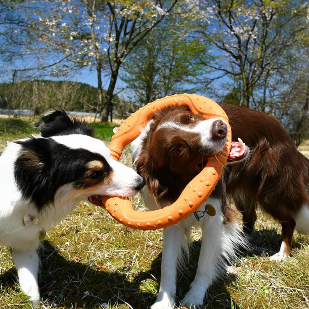 War Ring Langlebiges, wasserdichtes, leichtes, flexibles, interaktives Hundespielzeug