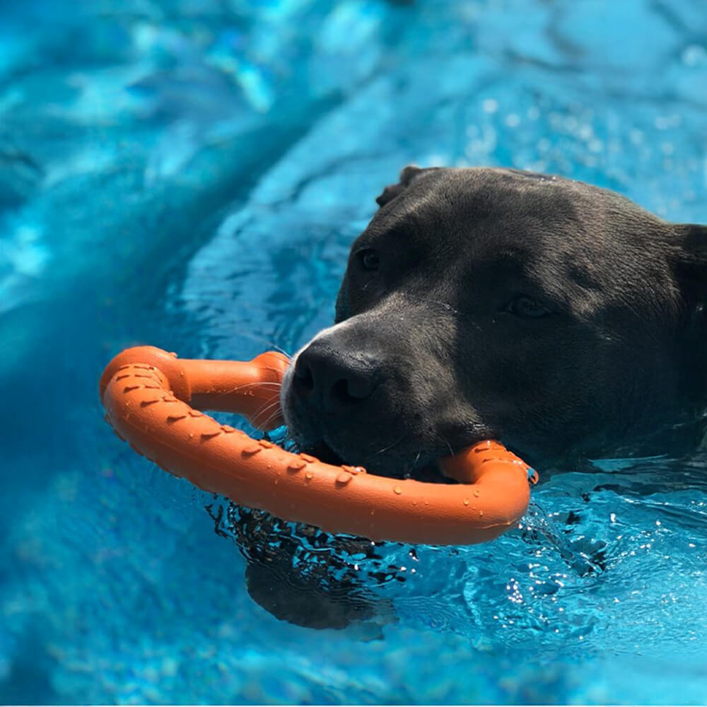 War Ring Langlebiges, wasserdichtes, leichtes, flexibles, interaktives Hundespielzeug