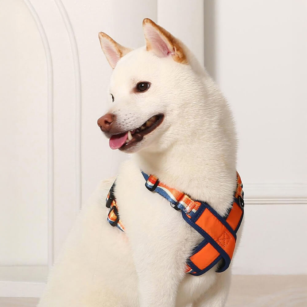 X-Shaped Adjustable Durable Dog Harness and Leash