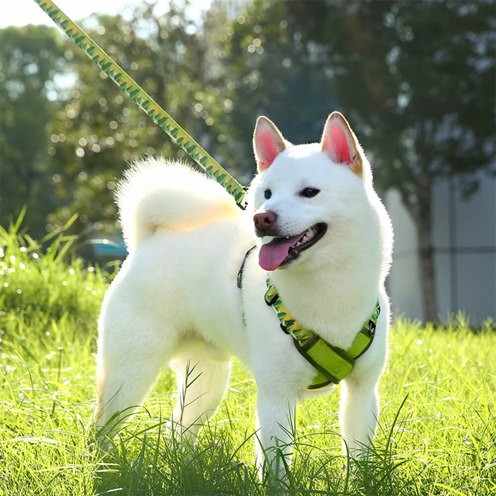X-Shaped Adjustable Durable Dog Harness and Leash