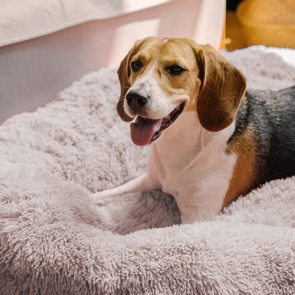 Fuzzy Round Fluffy Dog Bed - FUNNYFUZZY