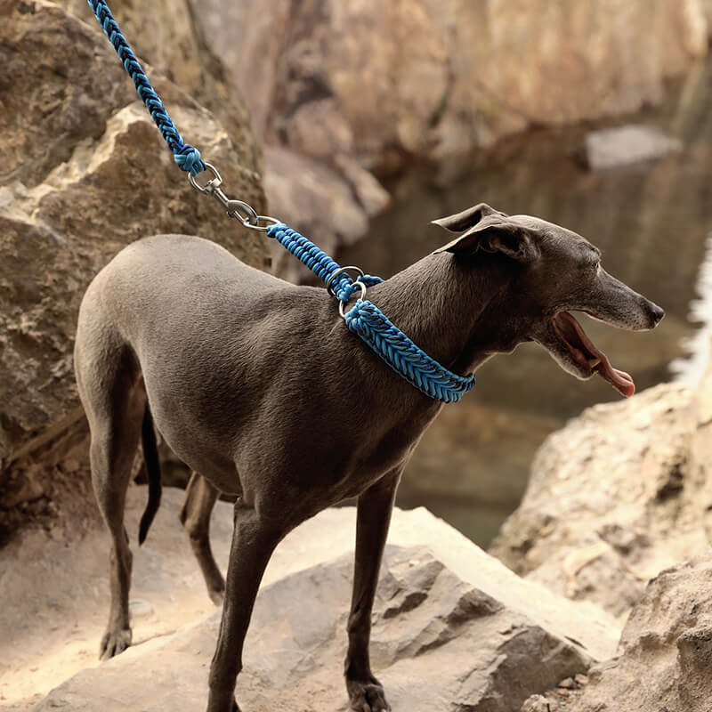 Grand collier et laisse pour chien lumineux anti-traction faits à la main