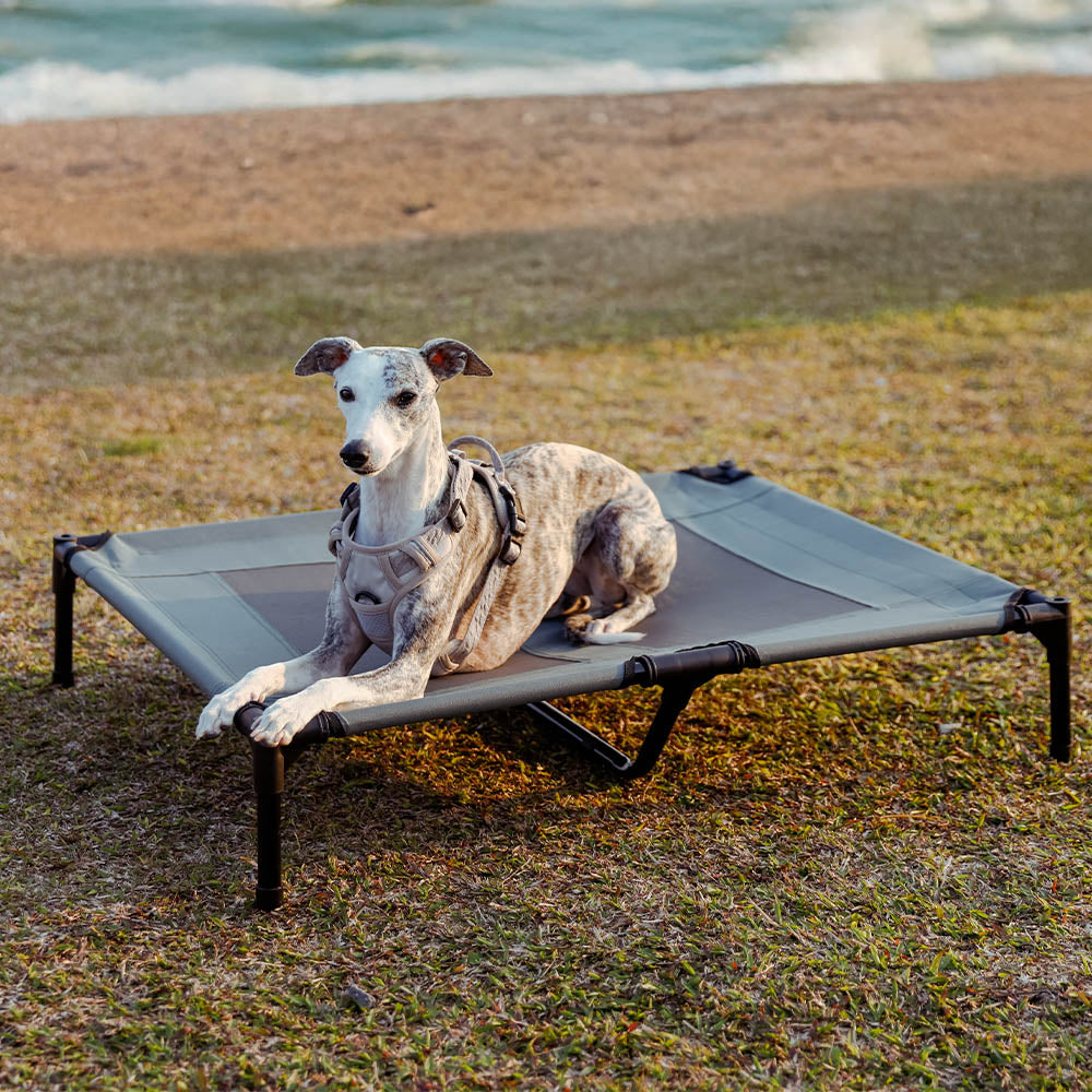 Multi-Functional Breathable Cooling Elevated Dog Bed with Canopy - PawAir