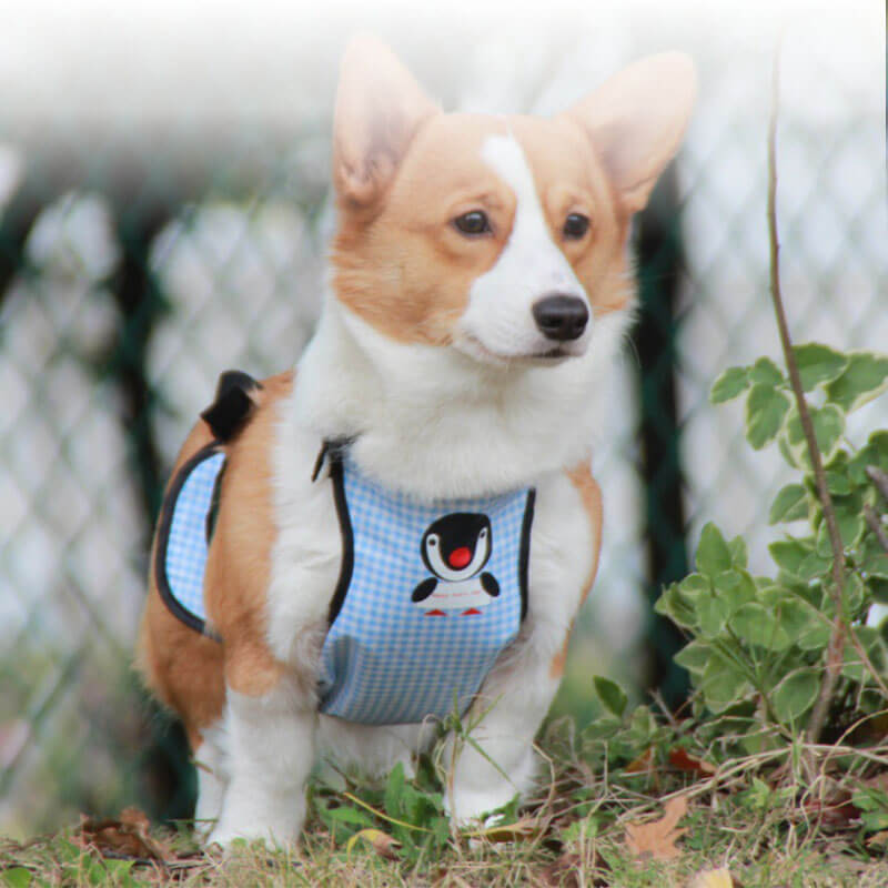 Cubierta de perrito de babero de mascotas a cuadros impermeables