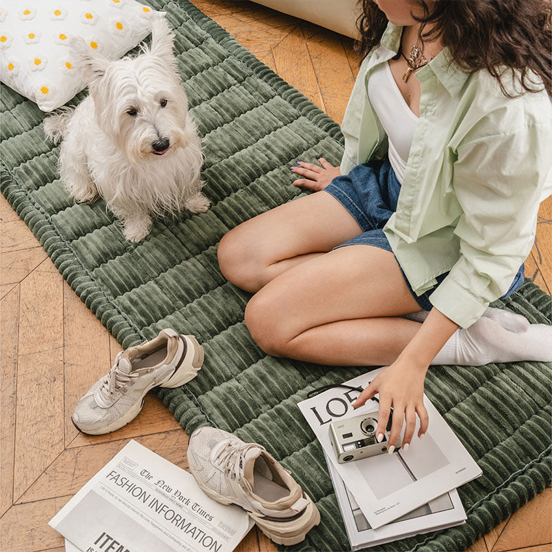 Make Waffle Biscuit Couch Cover – Cozy Soft Flannel & Breathable Pet Mat