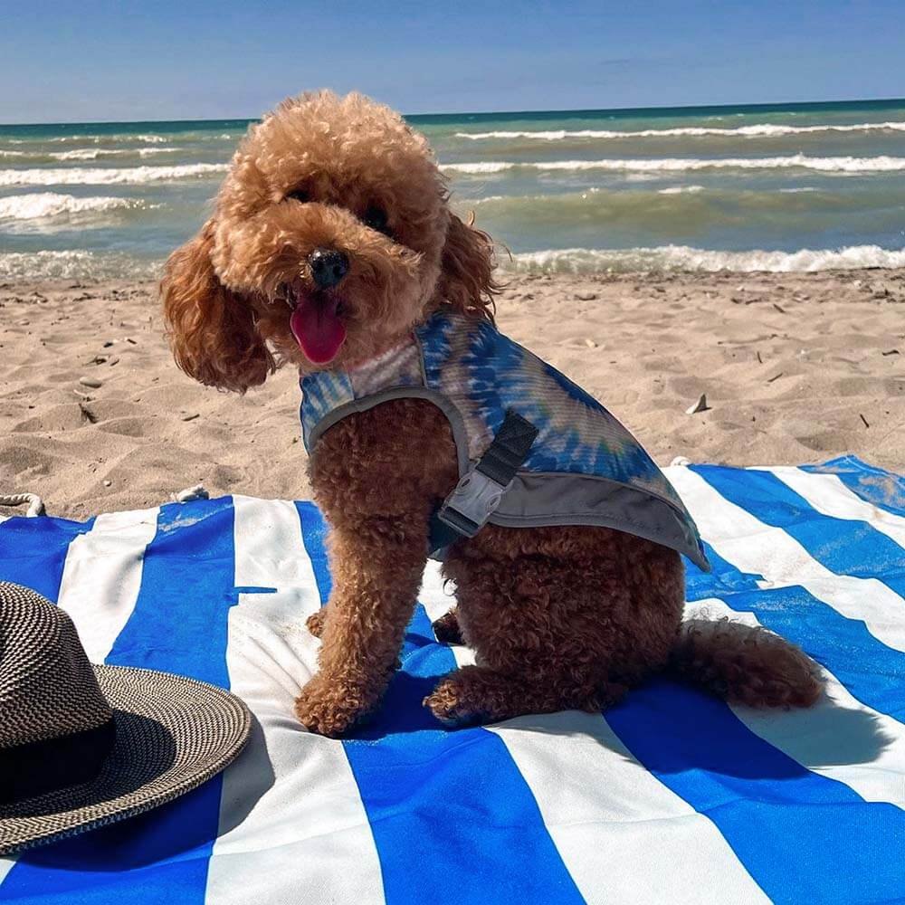 Dog Car Seat Cover- Holiday - FUNNYFUZZY