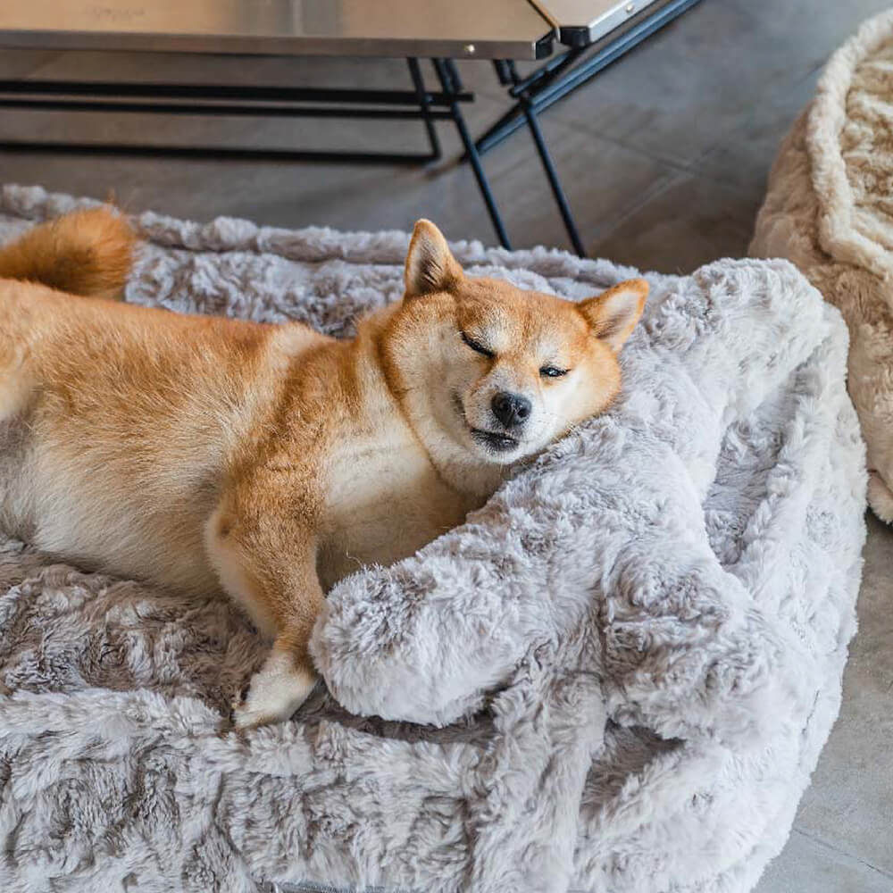 Warming Fluffy Bone Cloud Shape Calming Dog Bed - FUNNYFUZZY