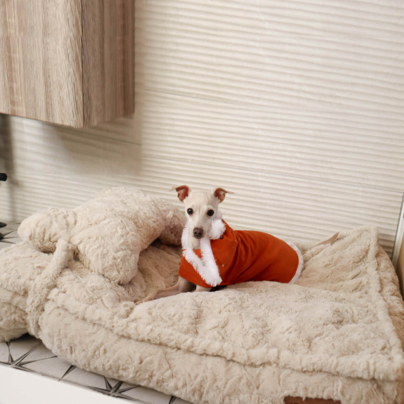 Warming Fluffy Bone Cloud Shape Calming Dog Bed - FUNNYFUZZY