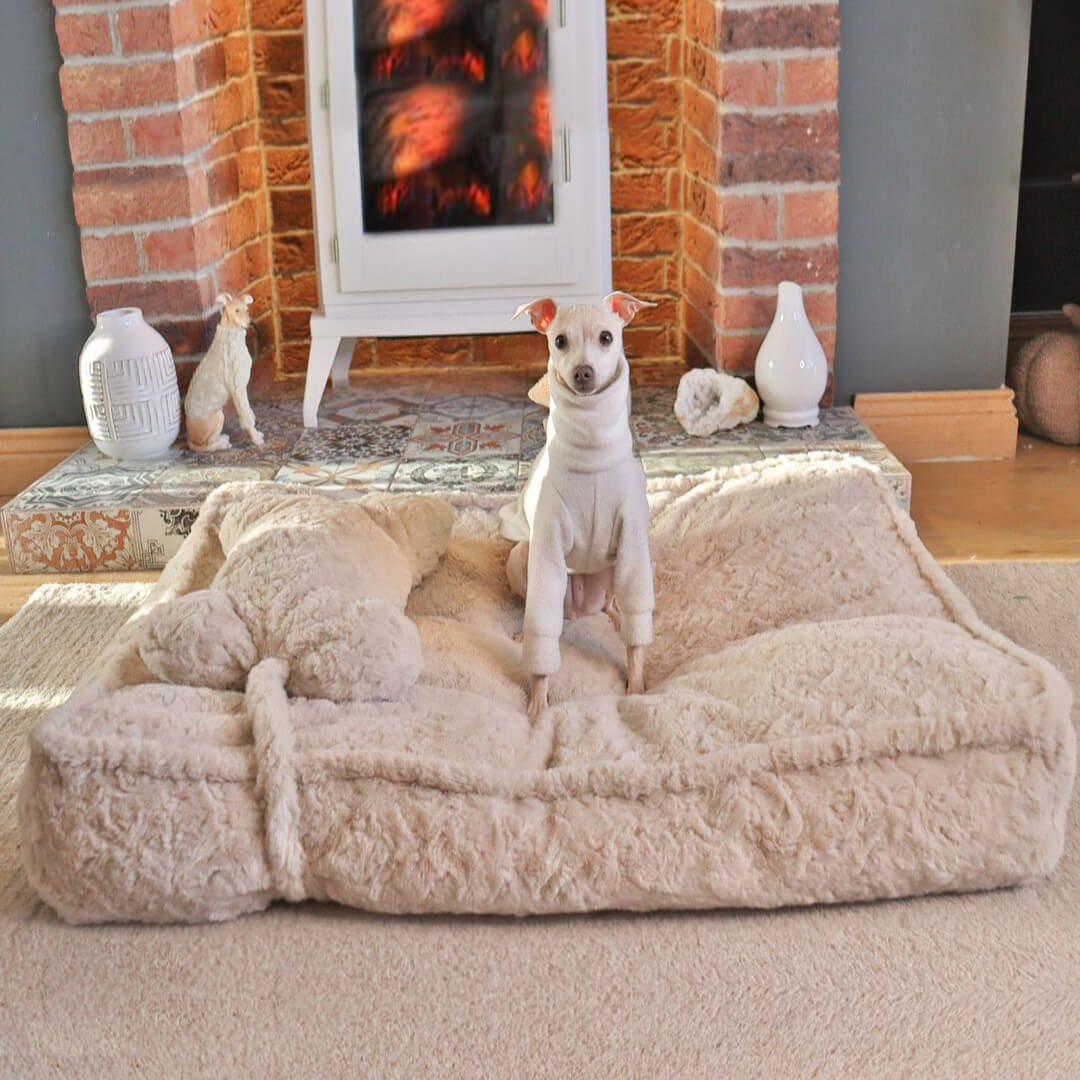Warming Fluffy Bone Cloud Shape Calming Dog Bed - FUNNYFUZZY
