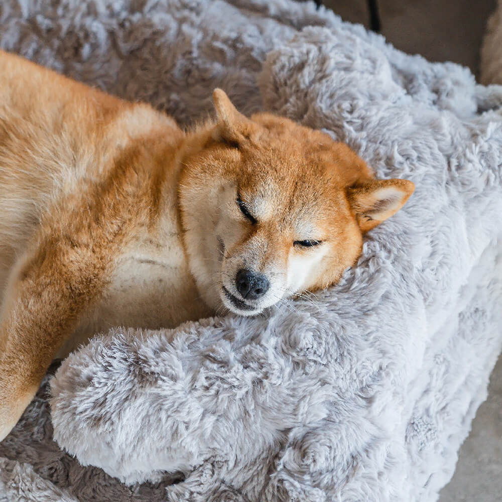 Warming Fluffy Bone Cloud Shape Calming Dog Bed - FUNNYFUZZY