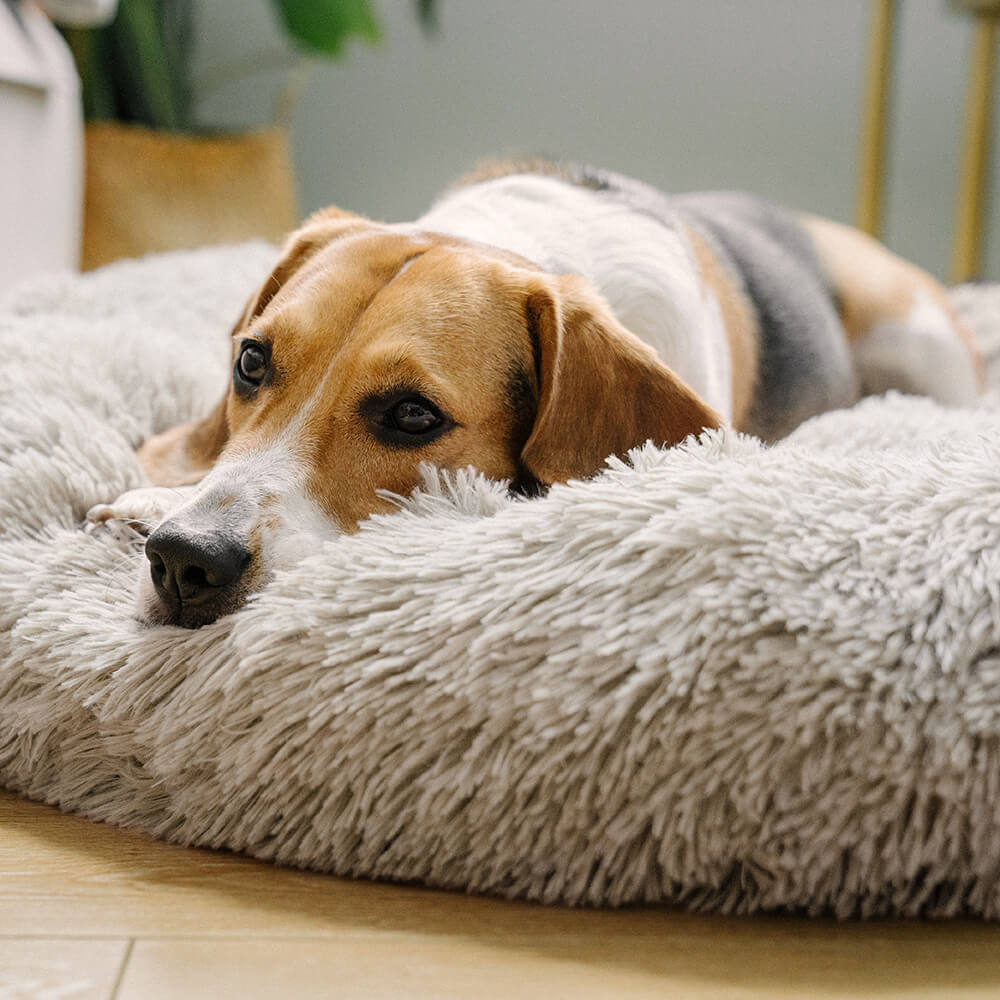 Fuzzy Round Fluffy Dog Bed - FUNNYFUZZY