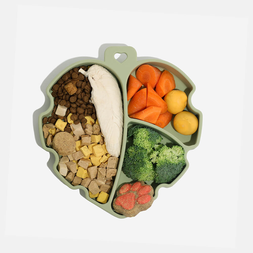 Suction Cup Pet Bowl - Leaf - FUNNYFUZZY