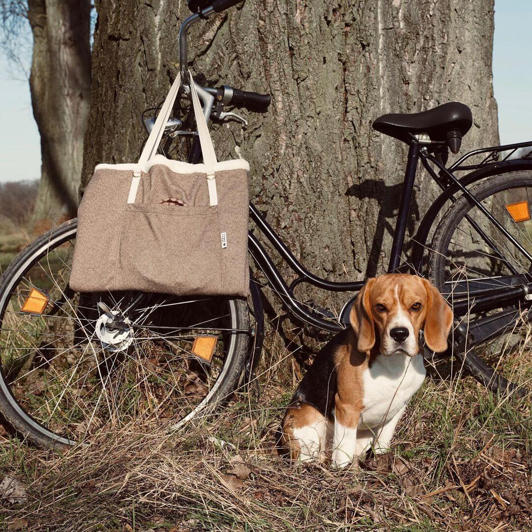 Portable Dog Mat - FUNNYFUZZY