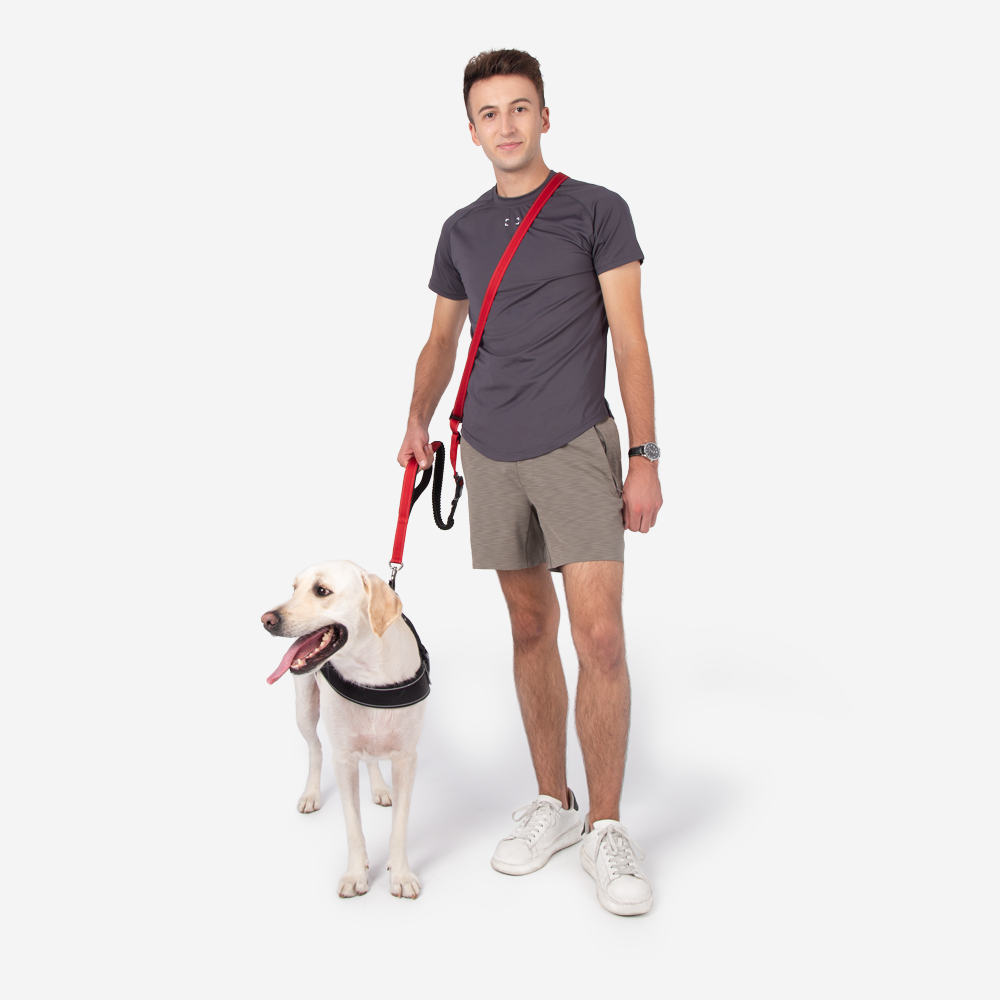 Multifunction Hands Free Dog Leash With Safety Seat Belt - FUNNYFUZZY