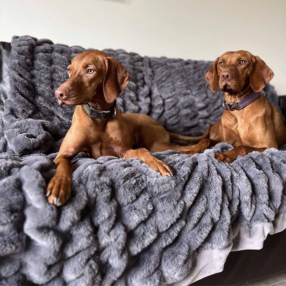 Super Soft Faux Fur & Velvet Luxury Pet Throw Blanket Human Blanket - FUNNYFUZZY