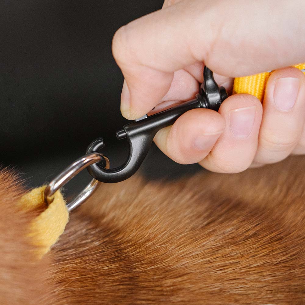 Car Seat Belt Buffer Adjustable Cool Dog Accessories - FUNNYFUZZY