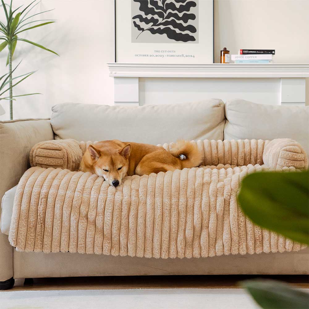 Cubierta de sofá de tapas para perros de sofá esponjoso
