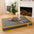 Hooman Innerspring Coils Orthopedic Human Dog Bed - Everdream