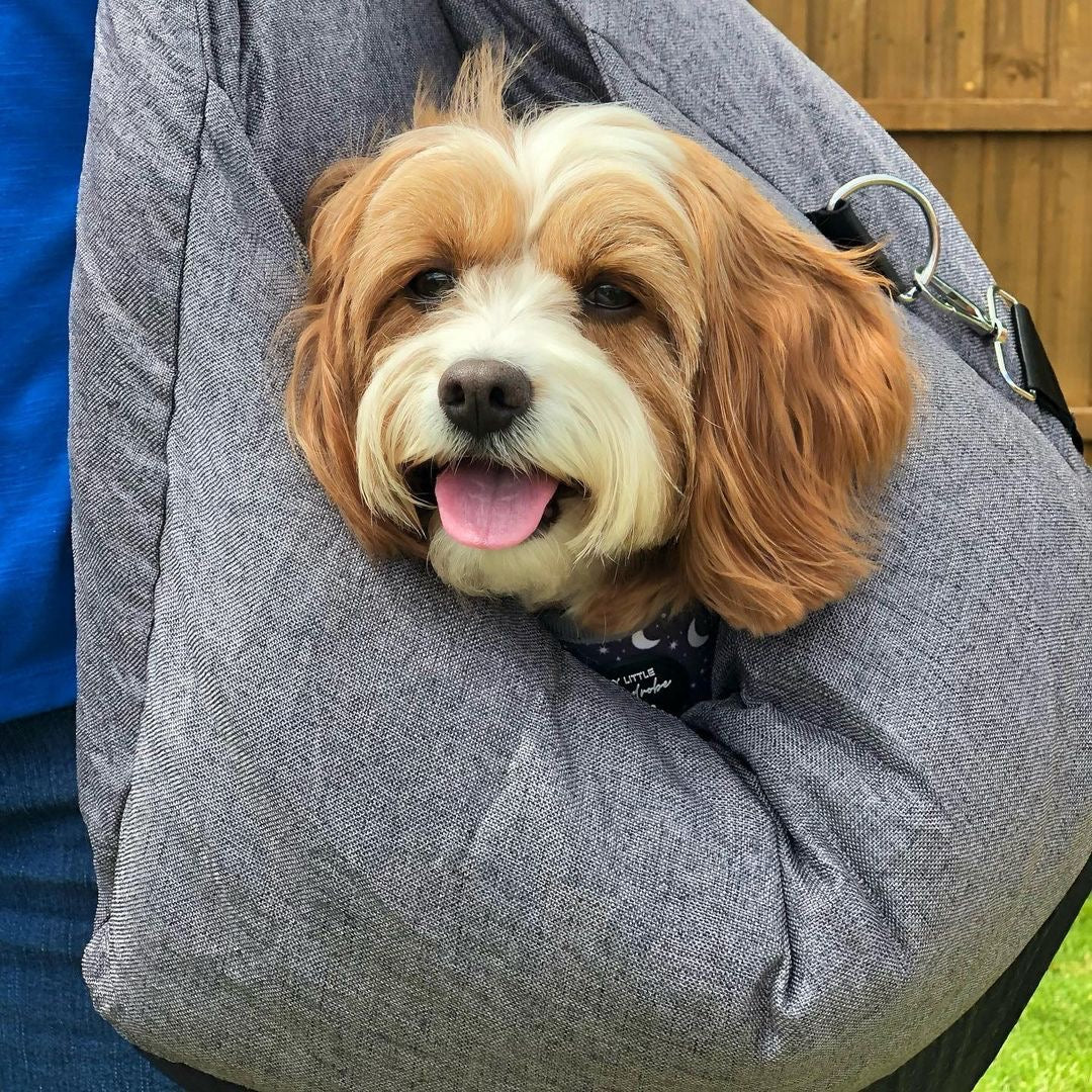Dog Car Seat Bed - First Class - FUNNYFUZZY