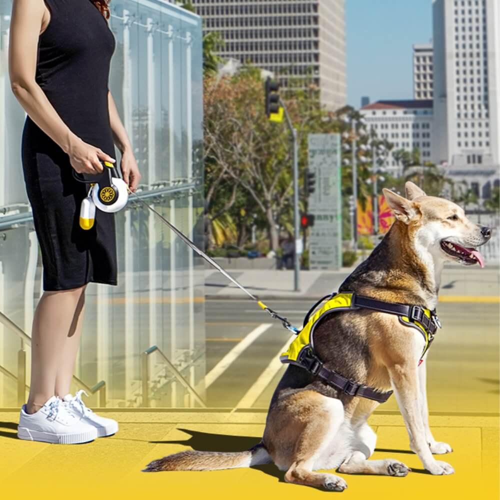 Correa de perros retráctil a prueba de explosión automática para perros medianos a grandes