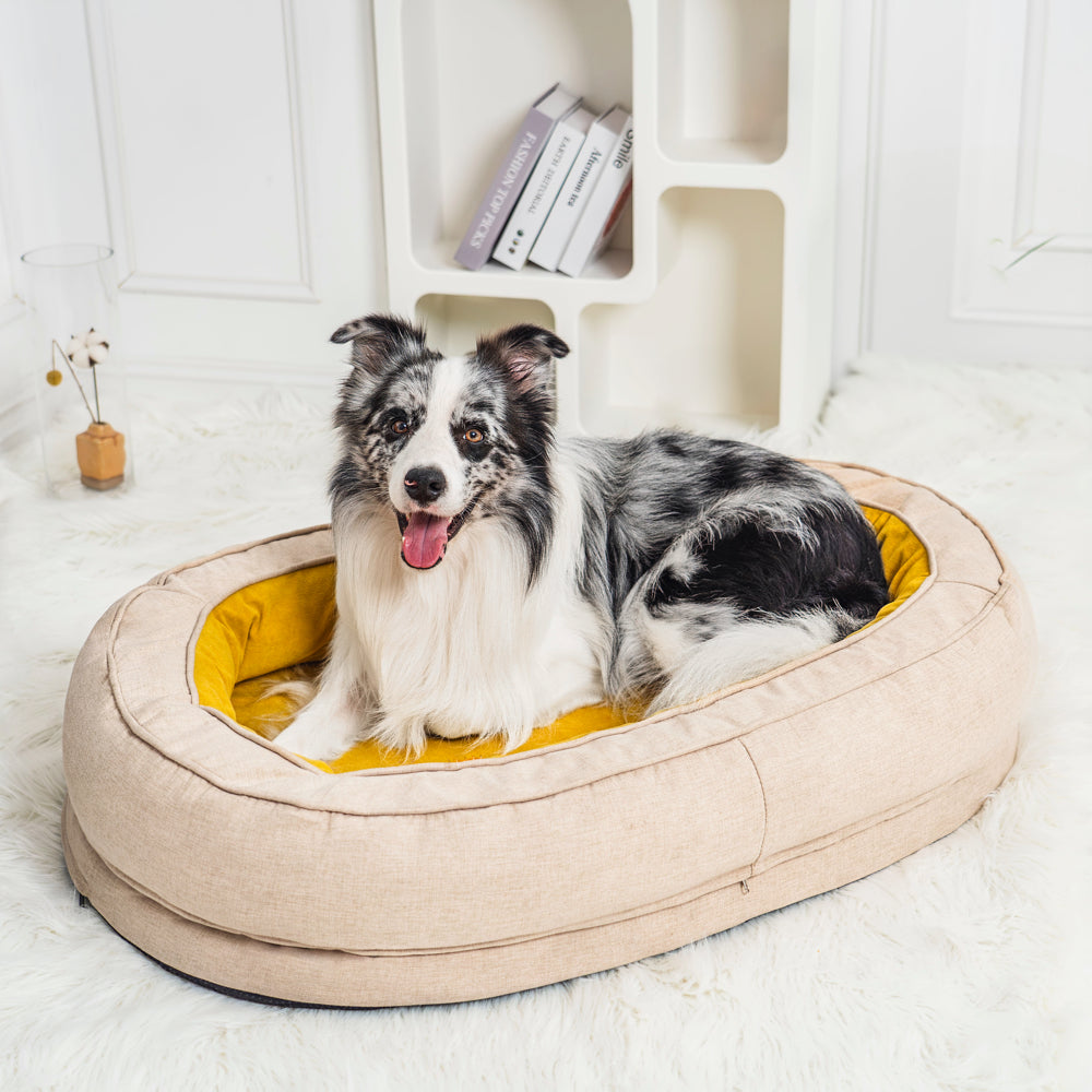 Dog Bed - Donut - FUNNYFUZZY