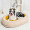 Donut Fluffy Orthopedic Dog Bed - FUNNYFUZZY