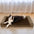Faux Fleece & Suede Full Support Orthopedic Dog Bed - FUNNYFUZZY