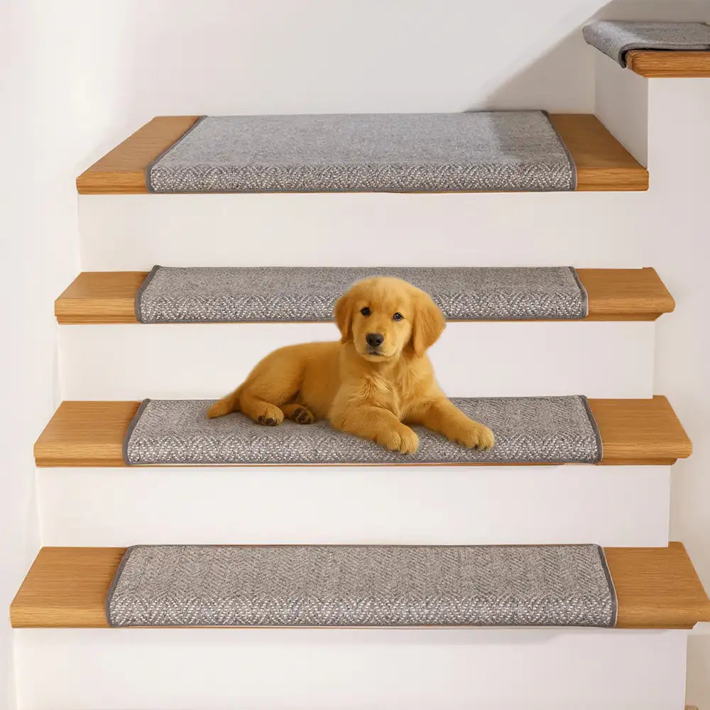 Espiga en espiga cinta de protección para la escalera resistente a la escalera de alfombra gratis