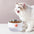 Multi-Purpose Removable Double-Layer Dog Bowl